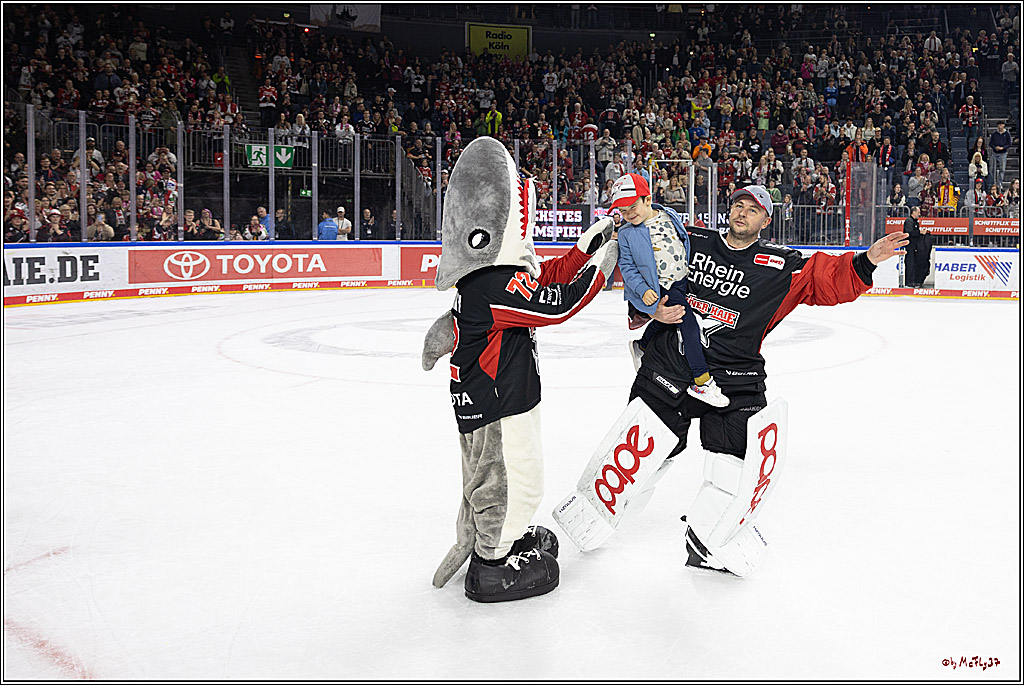PENNY DEL 1; Kölner Haie - Grizzlys Wolfsburg; Köln, 27.10.2024