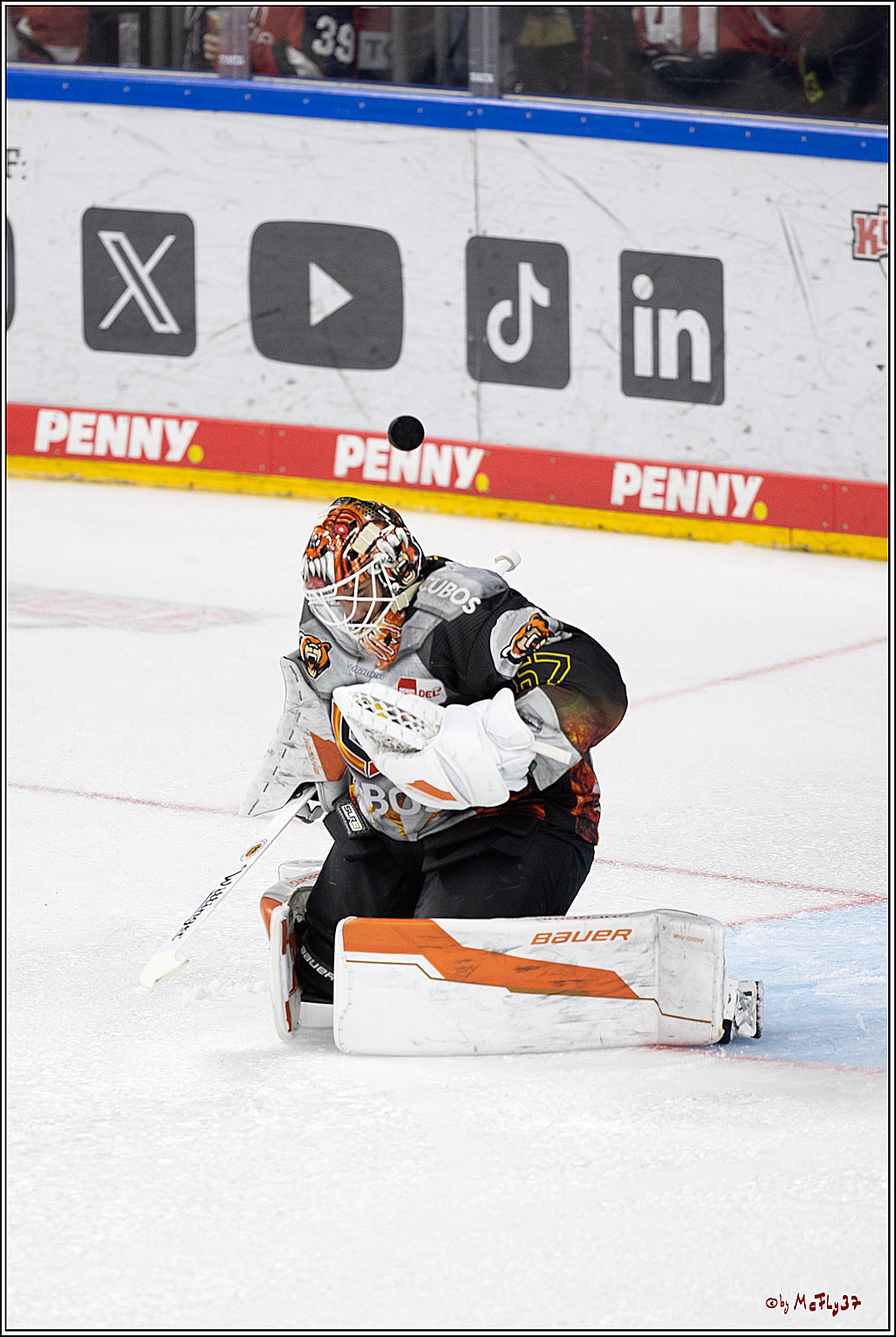 PENNY DEL 1; Kölner Haie - Grizzlys Wolfsburg; Köln, 27.10.2024