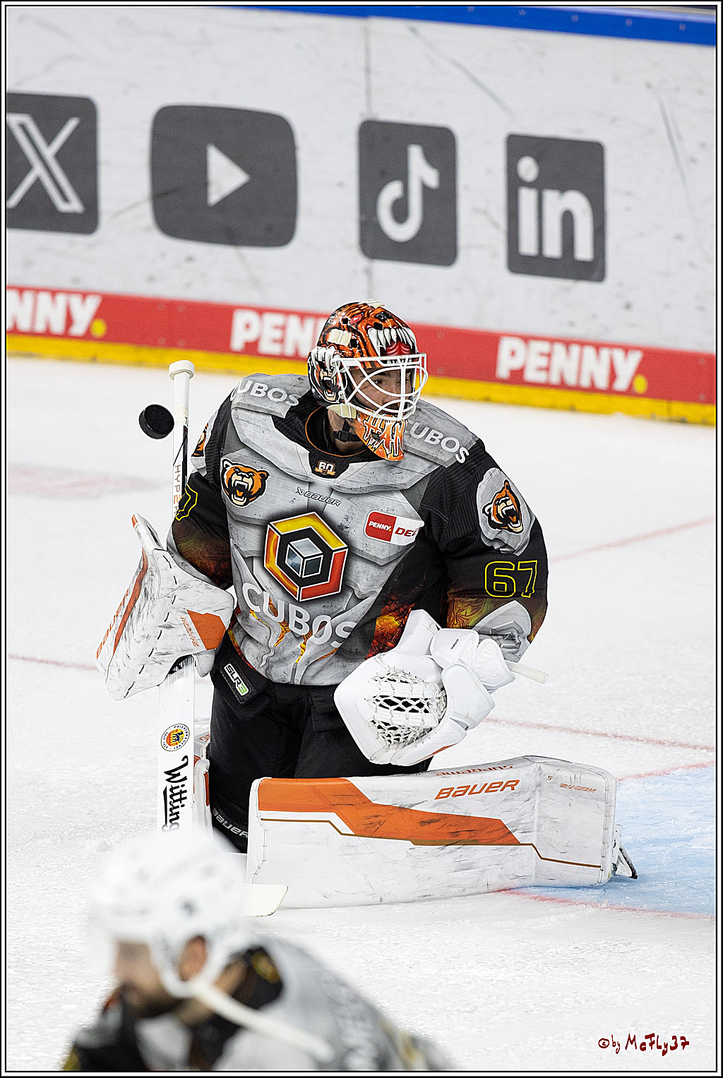 PENNY DEL 1; Kölner Haie - Grizzlys Wolfsburg; Köln, 27.10.2024