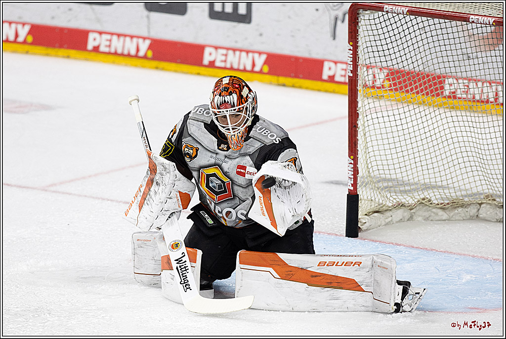 PENNY DEL 1; Kölner Haie - Grizzlys Wolfsburg; Köln, 27.10.2024