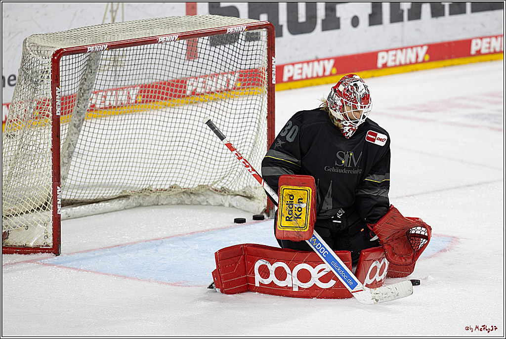PENNY DEL 1; Kölner Haie - Grizzlys Wolfsburg; Köln, 27.10.2024