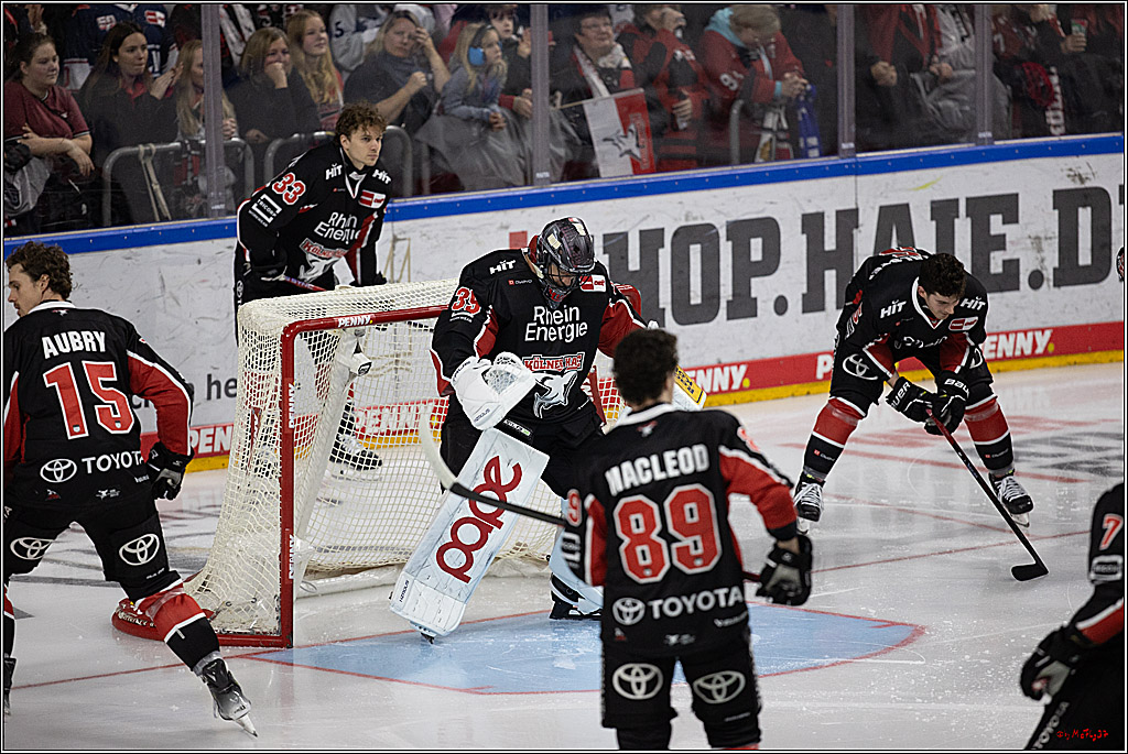 PENNY DEL 1; Kölner Haie - Grizzlys Wolfsburg; Köln, 27.10.2024