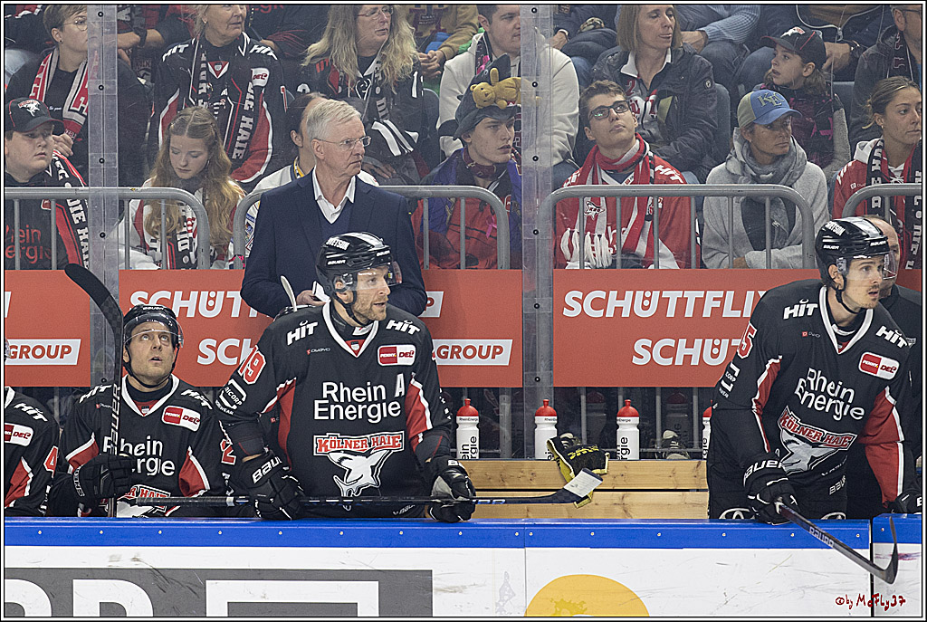 PENNY DEL 1; Kölner Haie - Grizzlys Wolfsburg; Köln, 27.10.2024