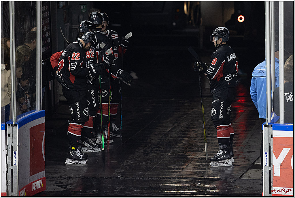 PENNY DEL 1; Kölner Haie - Grizzlys Wolfsburg; Köln, 27.10.2024