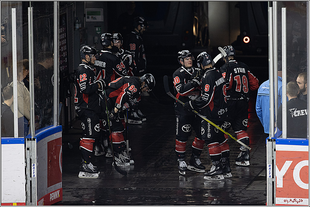PENNY DEL 1; Kölner Haie - Grizzlys Wolfsburg; Köln, 27.10.2024