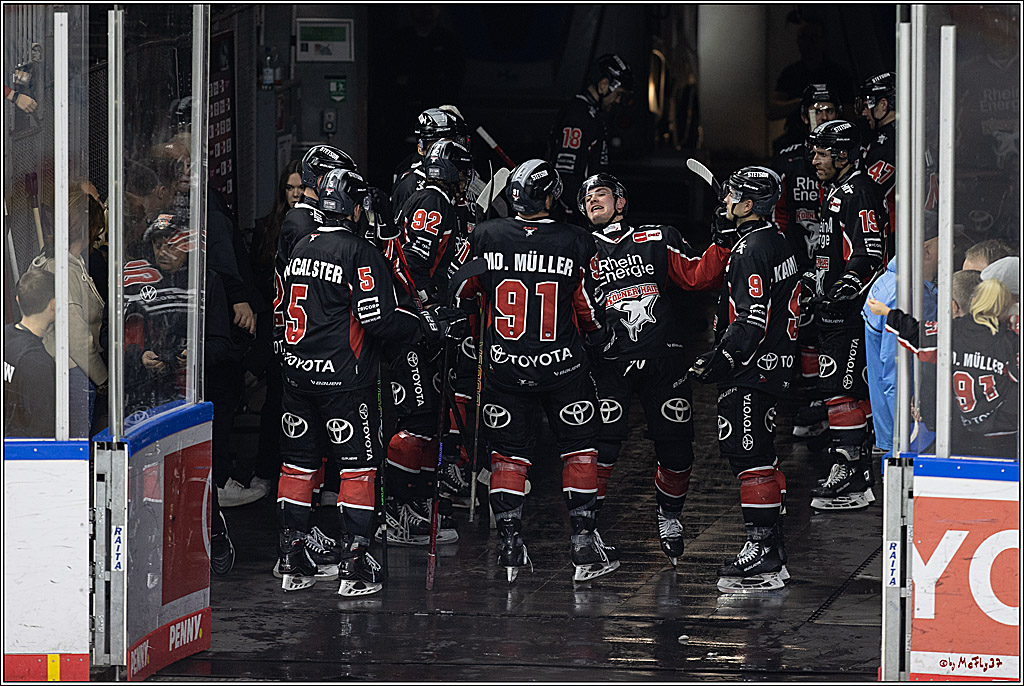 PENNY DEL 1; Kölner Haie - Grizzlys Wolfsburg; Köln, 27.10.2024