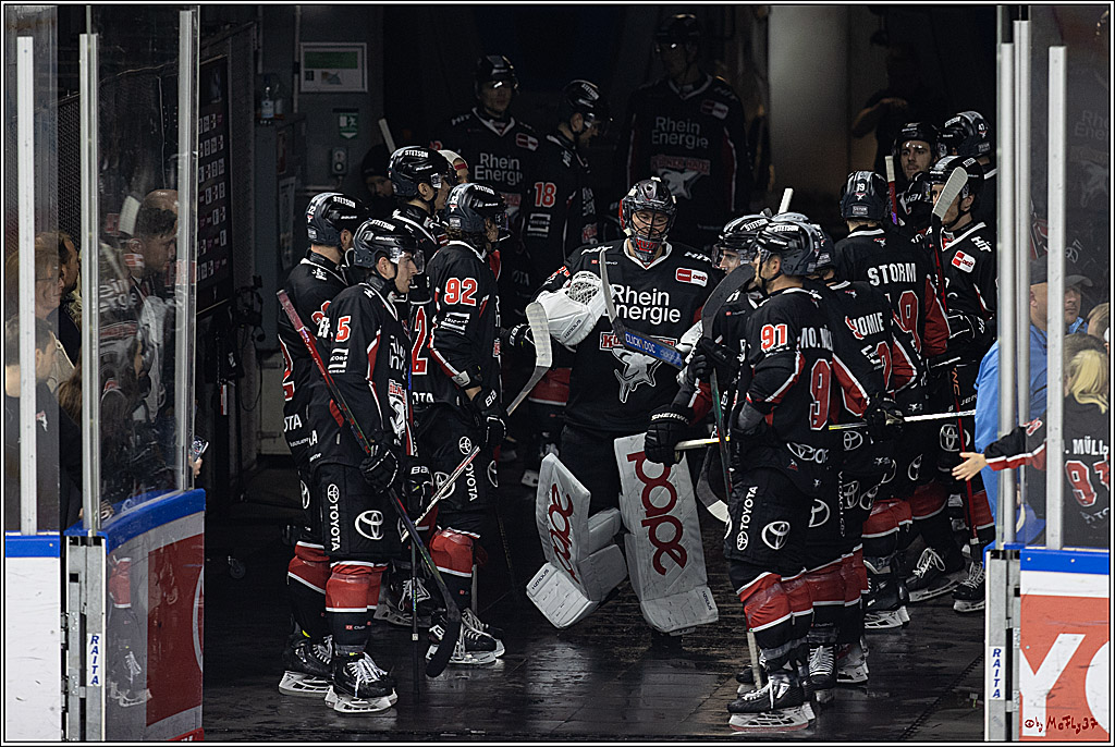 PENNY DEL 1; Kölner Haie - Grizzlys Wolfsburg; Köln, 27.10.2024