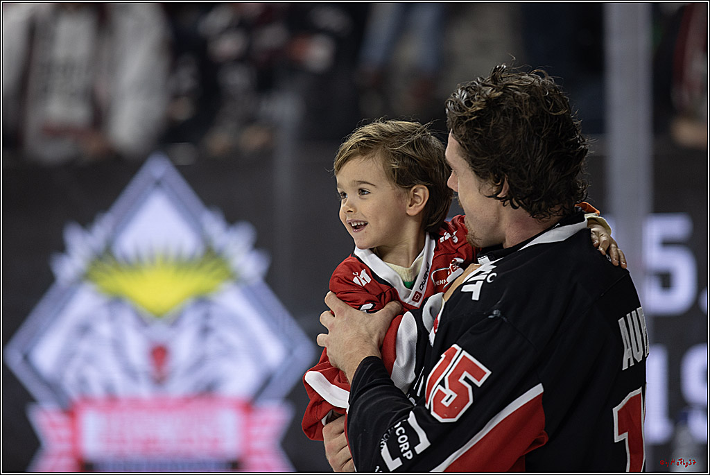 PENNY DEL 1; Kölner Haie - Grizzlys Wolfsburg; Köln, 27.10.2024