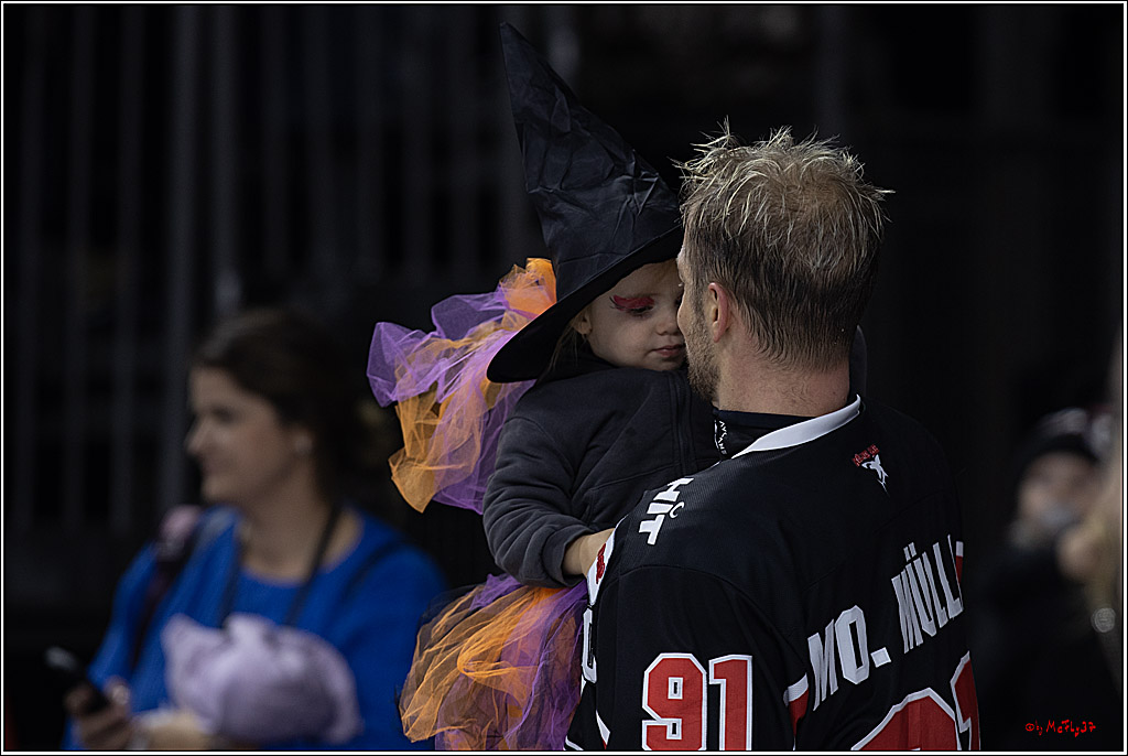 PENNY DEL 1; Kölner Haie - Grizzlys Wolfsburg; Köln, 27.10.2024