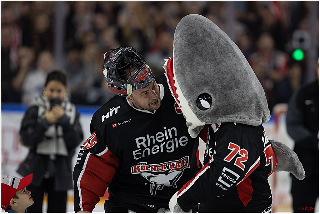 PENNY DEL 1; Kölner Haie - Grizzlys Wolfsburg; Köln, 27.10.2024