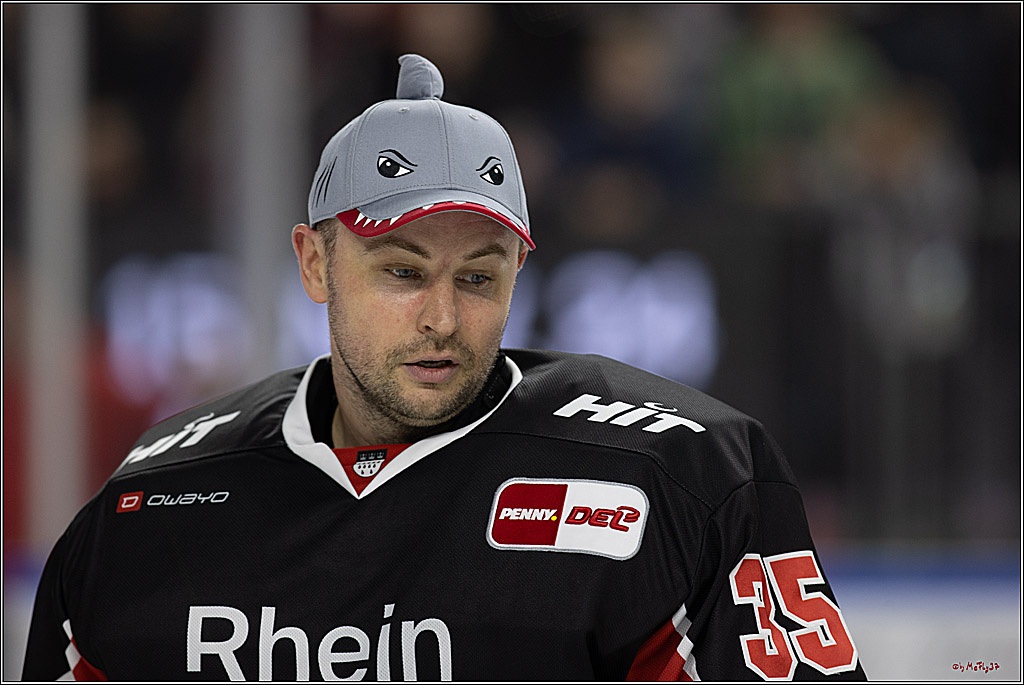 PENNY DEL 1; Kölner Haie - Grizzlys Wolfsburg; Köln, 27.10.2024