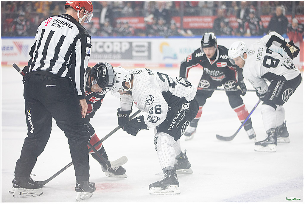 PENNY DEL; Koelner Haie-Grizzlys Wolfsburg; Koeln, 27.10.2024