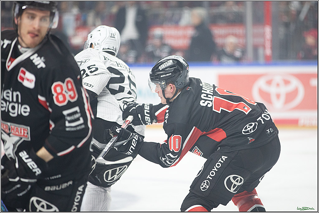 PENNY DEL; Koelner Haie-Grizzlys Wolfsburg; Koeln, 27.10.2024