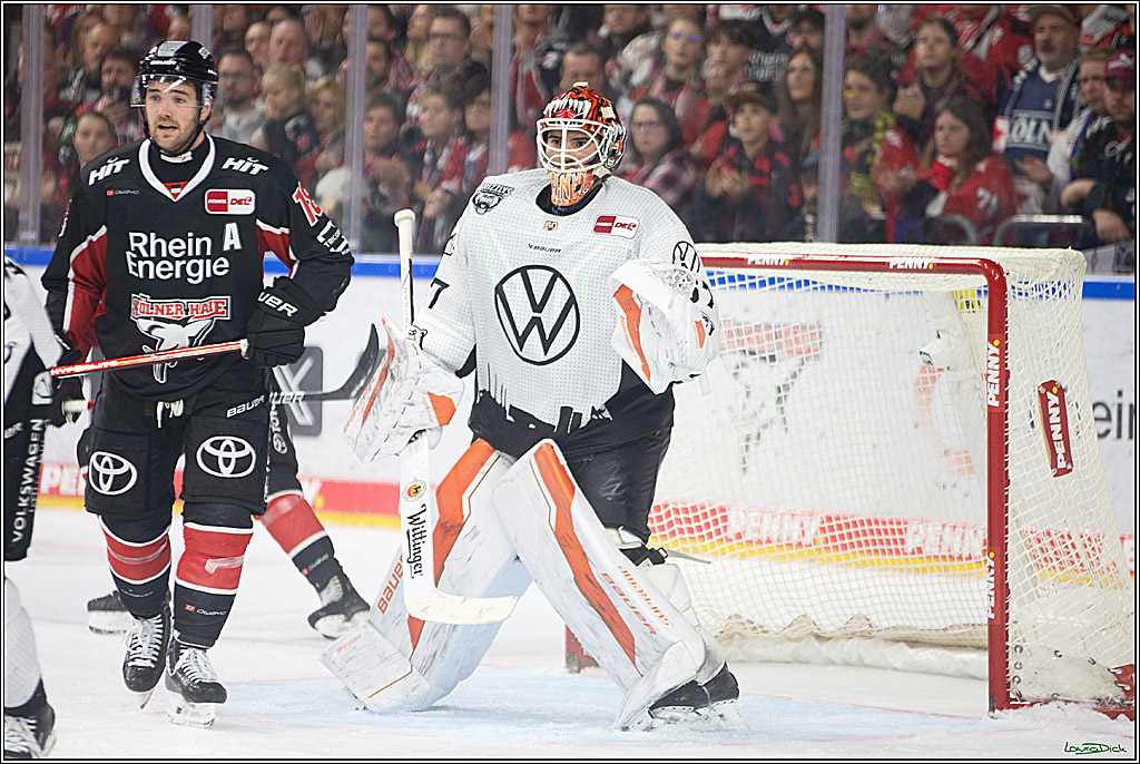 PENNY DEL; Koelner Haie-Grizzlys Wolfsburg; Koeln, 27.10.2024