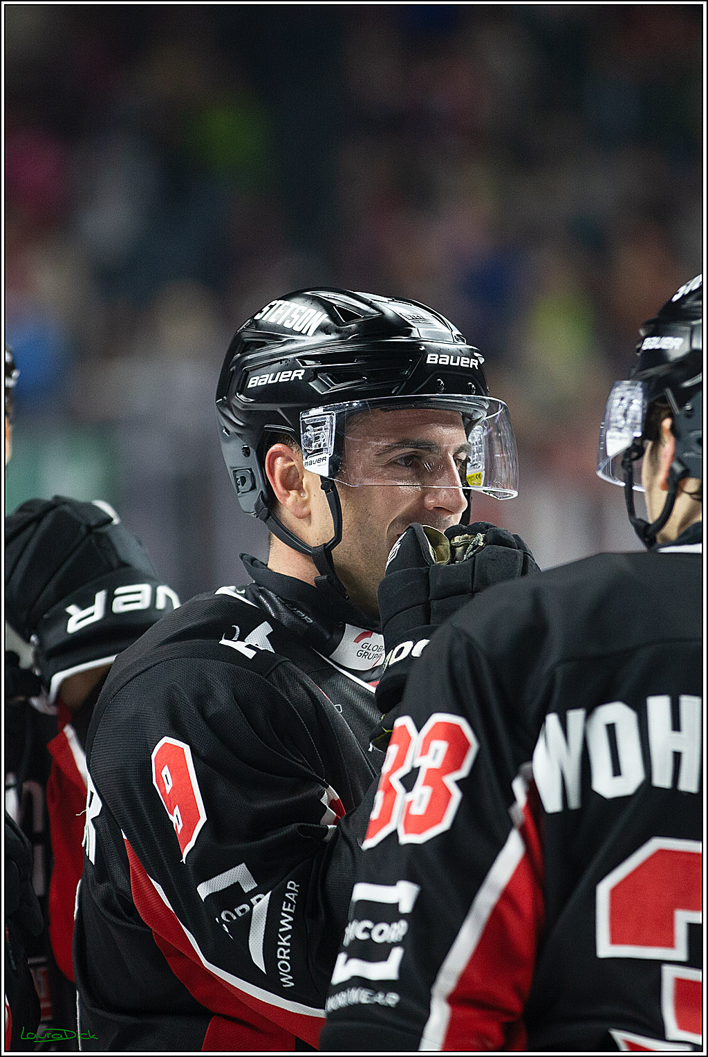 PENNY DEL; Koelner Haie-Grizzlys Wolfsburg; Koeln, 27.10.2024