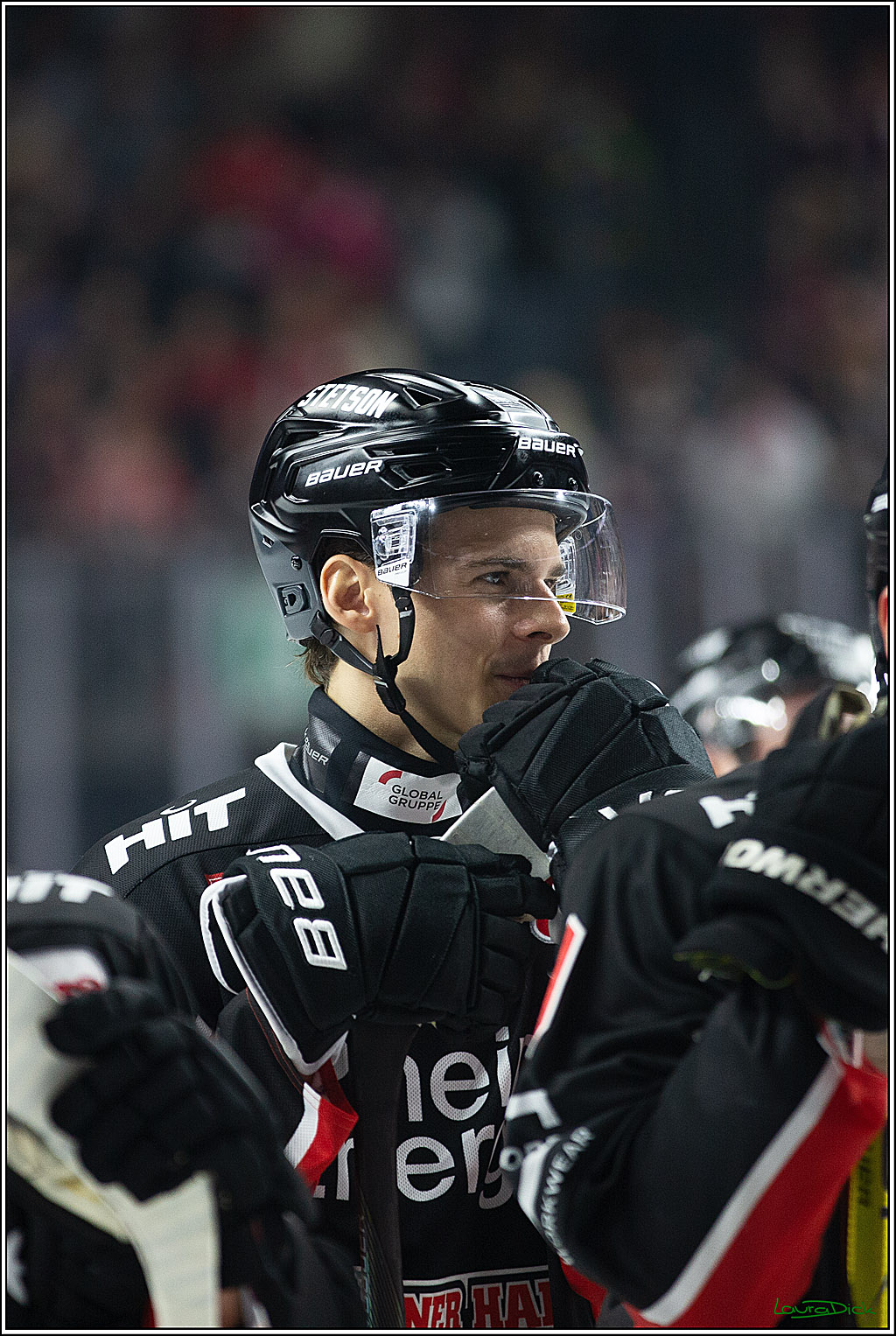 PENNY DEL; Koelner Haie-Grizzlys Wolfsburg; Koeln, 27.10.2024