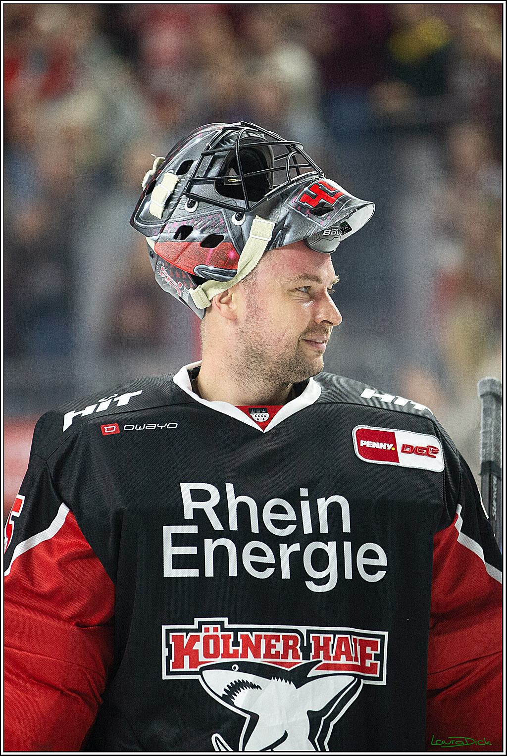 PENNY DEL; Koelner Haie-Grizzlys Wolfsburg; Koeln, 27.10.2024