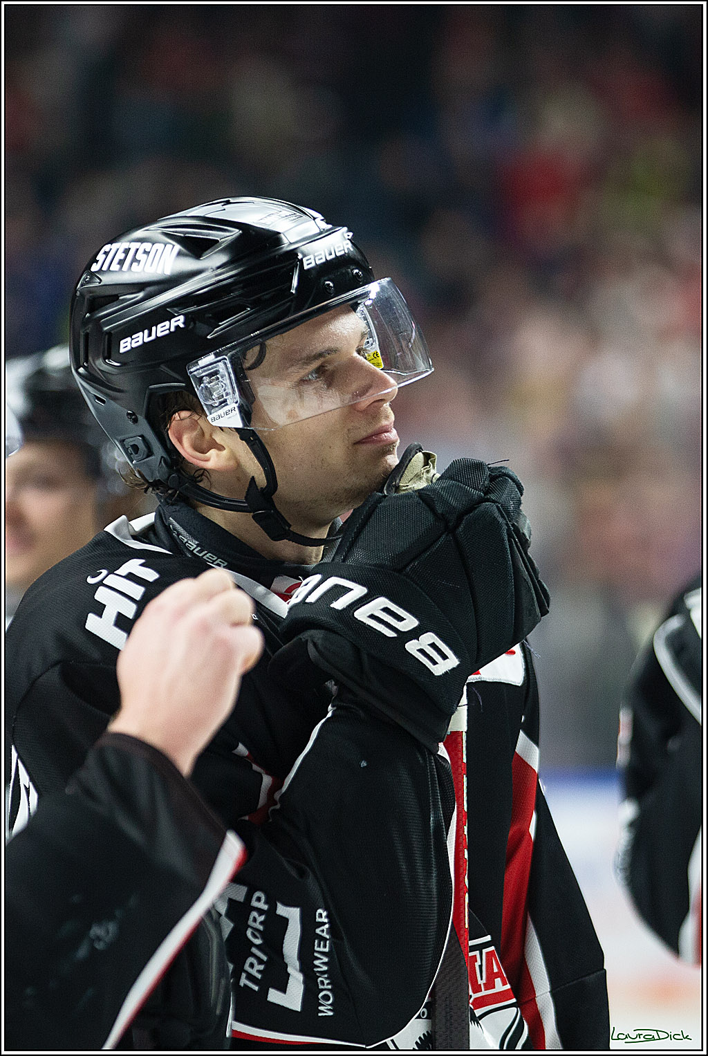 PENNY DEL; Koelner Haie-Grizzlys Wolfsburg; Koeln, 27.10.2024