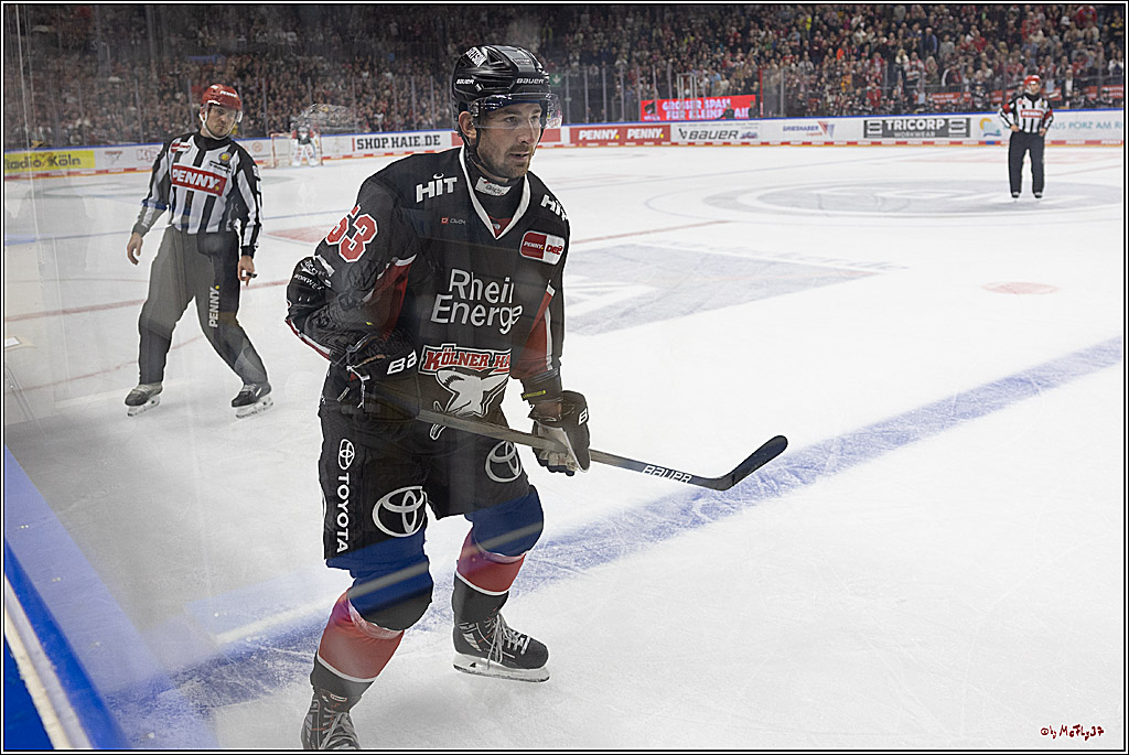 PENNY DEL 1; Kölner Haie - Grizzlys Wolfsburg; Köln, 27.10.2024