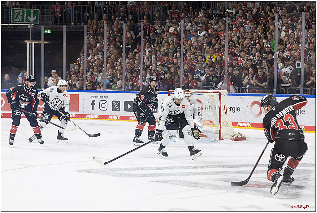 PENNY DEL 1; Kölner Haie - Grizzlys Wolfsburg; Köln, 27.10.2024