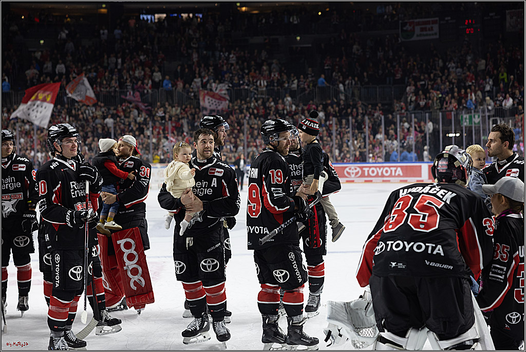 PENNY DEL 1; Kölner Haie - Grizzlys Wolfsburg; Köln, 27.10.2024