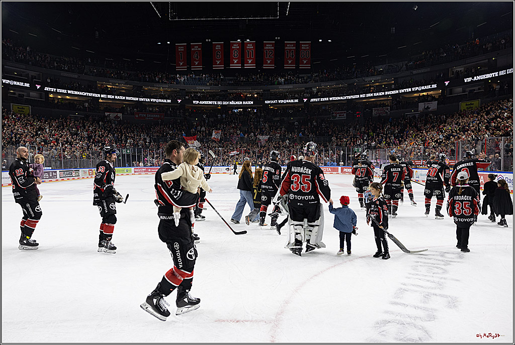 PENNY DEL 1; Kölner Haie - Grizzlys Wolfsburg; Köln, 27.10.2024