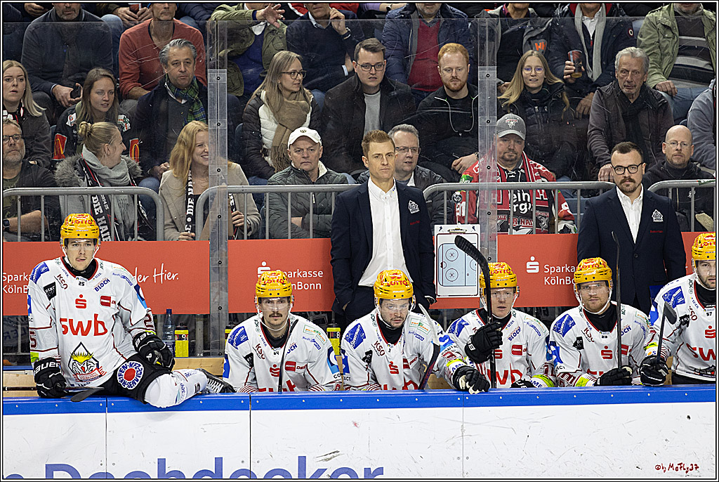 PENNY DEL 1; Kölner Haie - Fischtown Pinguins; Köln, 15.11.2024