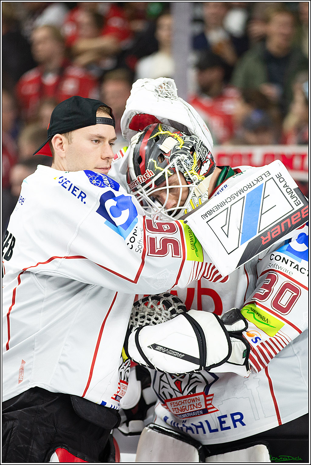PENNY DEL; Koelner Haie-Pinguine Bremerhaven; Koeln, 15.11.2024