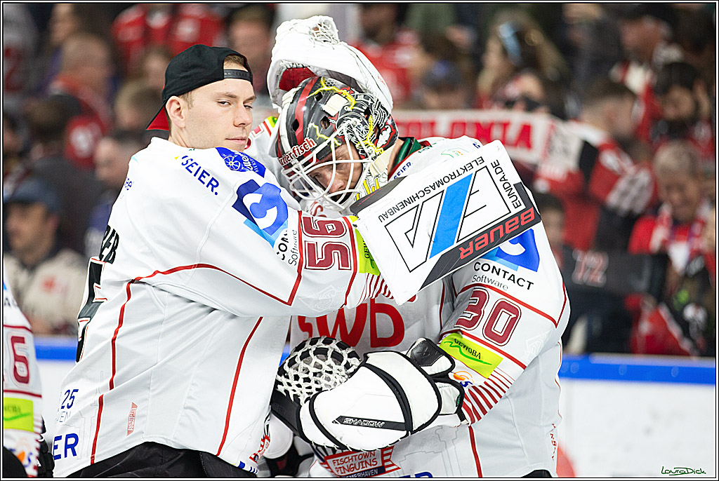 PENNY DEL; Koelner Haie-Pinguine Bremerhaven; Koeln, 15.11.2024