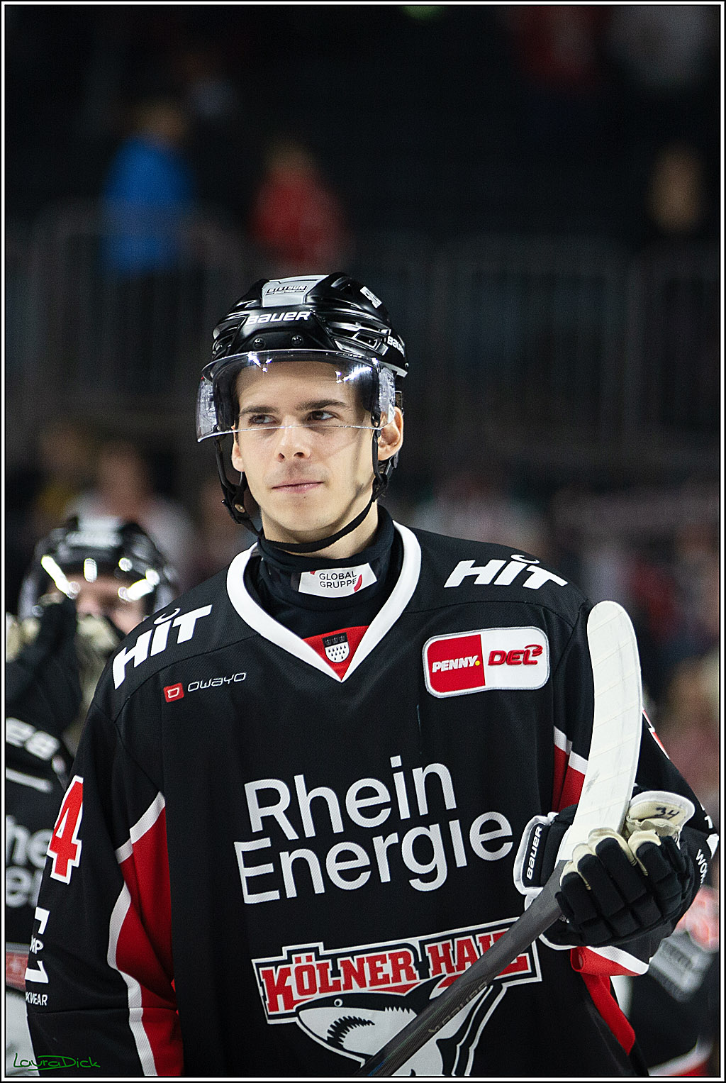 PENNY DEL; Koelner Haie-Pinguine Bremerhaven; Koeln, 15.11.2024