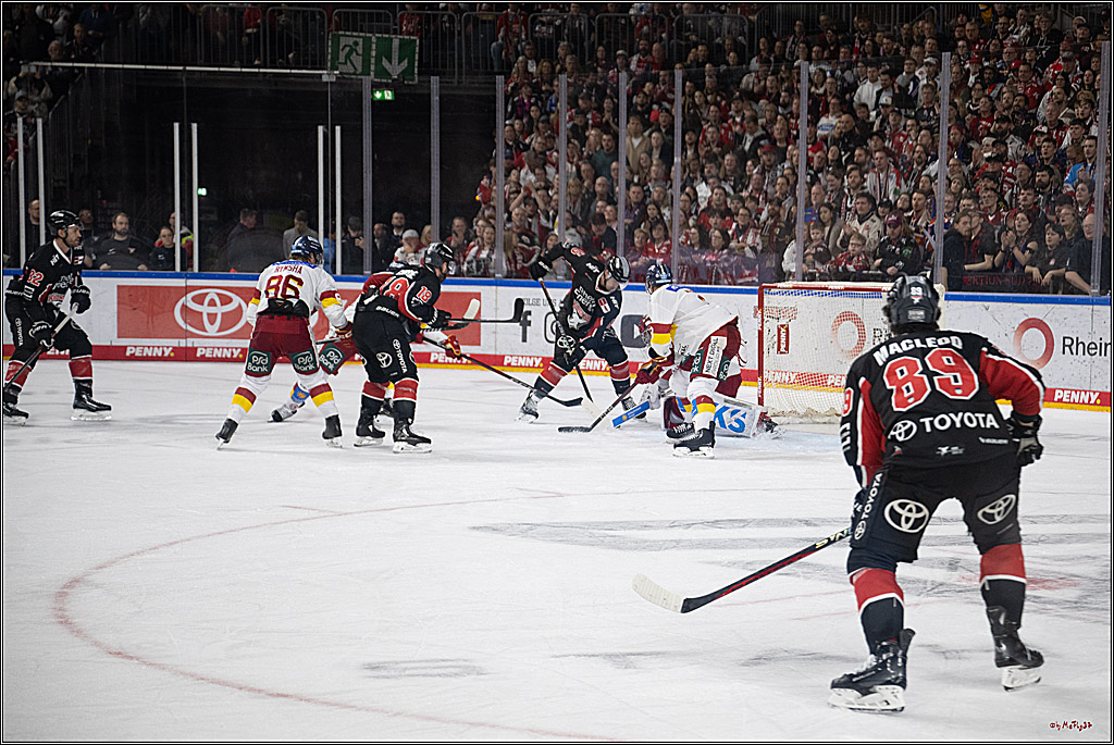 PENNY DEL 1; Kölner Haie - Düsseldorfer EG ; Köln, 24.11.2024