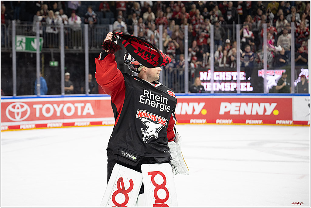 PENNY DEL 1; Kölner Haie - Düsseldorfer EG ; Köln, 24.11.2024