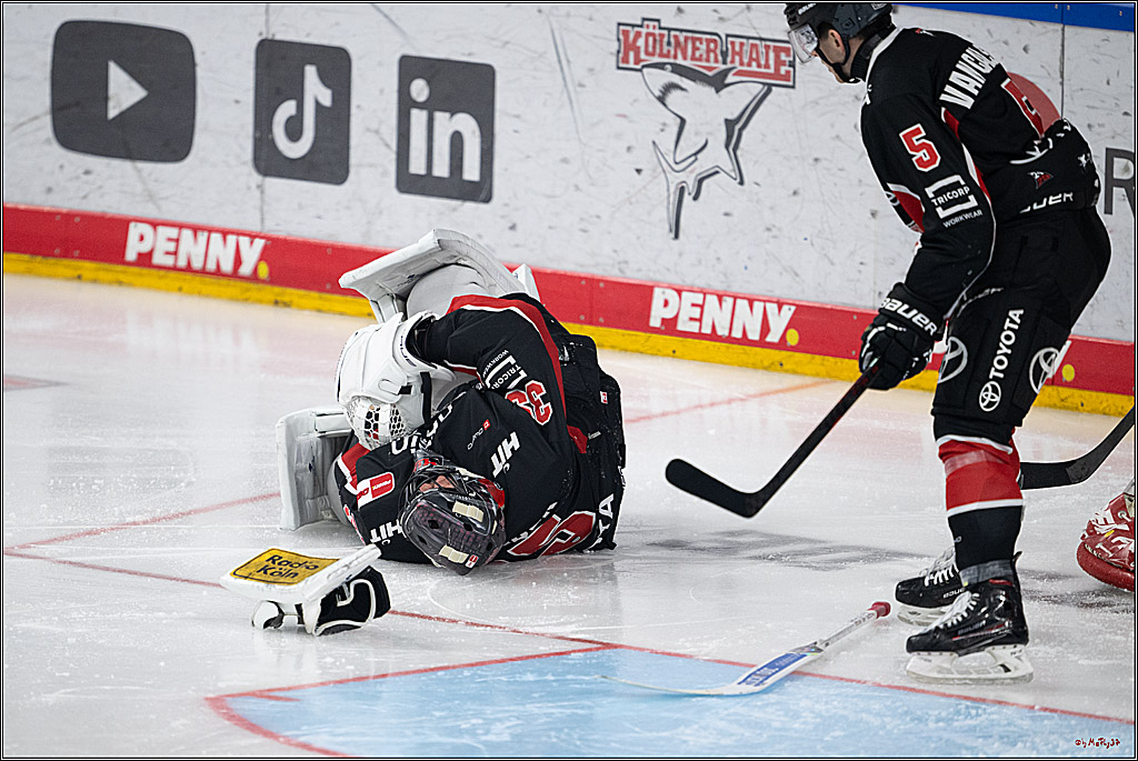 PENNY DEL 1; Kölner Haie - Düsseldorfer EG ; Köln, 24.11.2024
