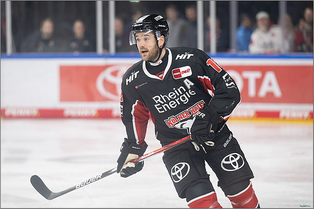 PENNY DEL; Koelner Haie-Duesseldorfer EG; Koeln, 24.11.2024