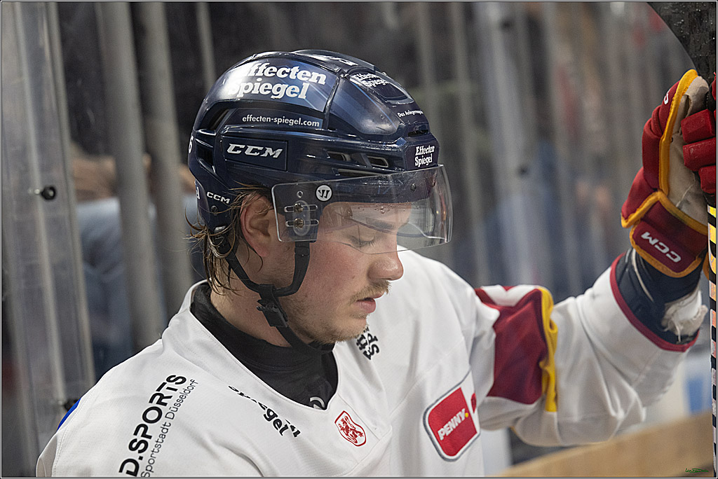 PENNY DEL; Koelner Haie-Duesseldorfer EG; Koeln, 24.11.2024