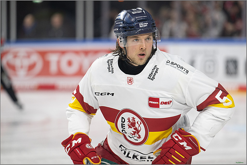 PENNY DEL; Koelner Haie-Duesseldorfer EG; Koeln, 24.11.2024
