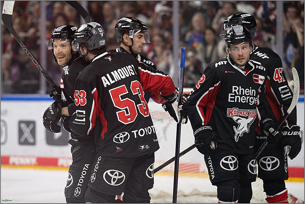 PENNY DEL; Koelner Haie-Duesseldorfer EG; Koeln, 24.11.2024