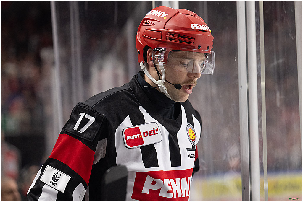 PENNY DEL; Koelner Haie-Duesseldorfer EG; Koeln, 24.11.2024
