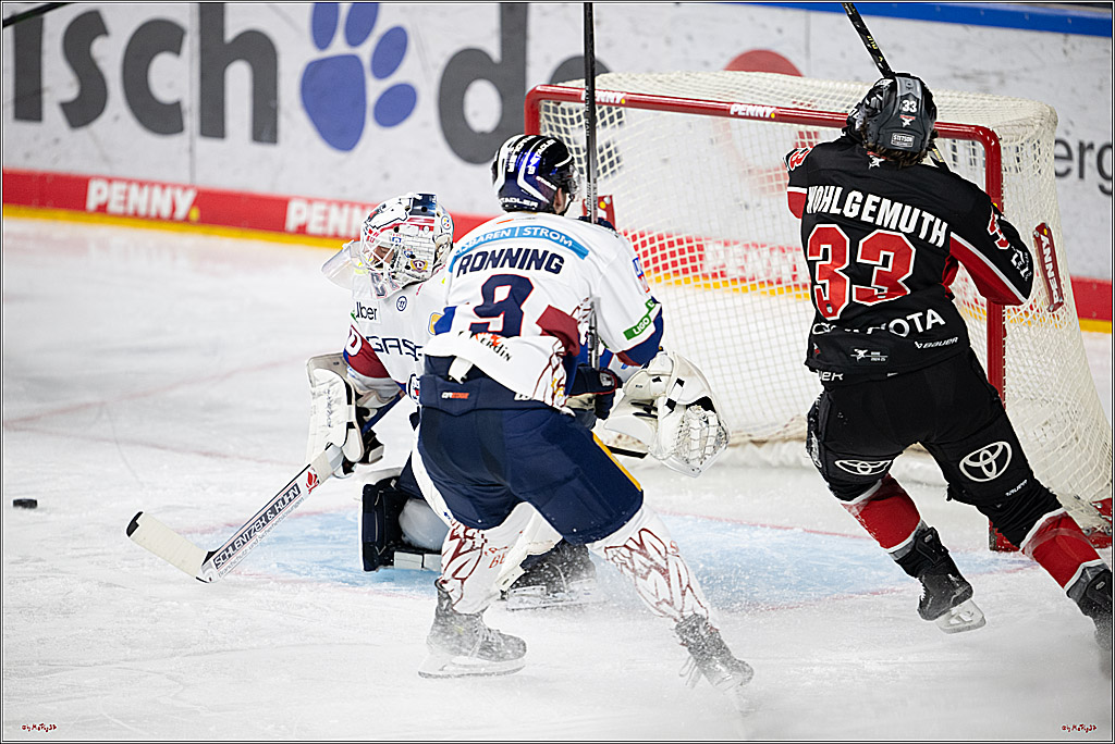 PENNY DEL 1; Kölner Haie - Eisbären Berlin; Köln, 07.01.2025