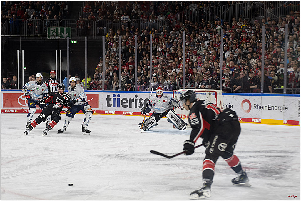PENNY DEL 1; Kölner Haie - Iserlohn Roosters; Köln, 19.01.2025
