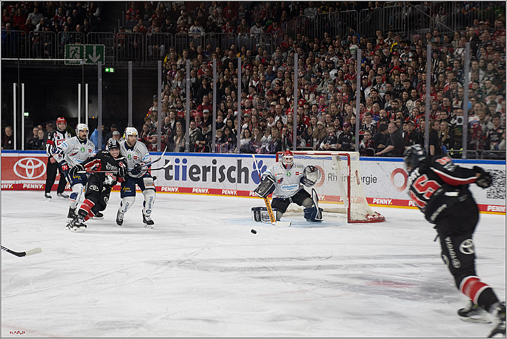 PENNY DEL 1; Kölner Haie - Iserlohn Roosters; Köln, 19.01.2025