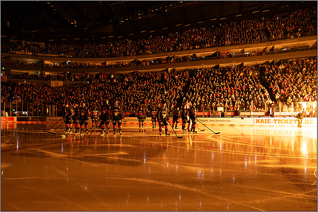PENNY DEL 1; Kölner Haie - Iserlohn Roosters; Köln, 19.01.2025