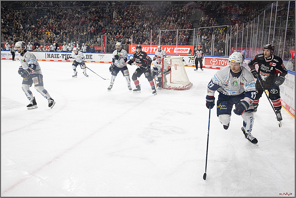 PENNY DEL 1; Kölner Haie - Iserlohn Roosters; Köln, 19.01.2025