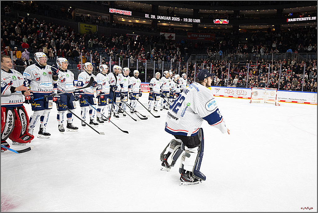 PENNY DEL 1; Kölner Haie - Iserlohn Roosters; Köln, 19.01.2025
