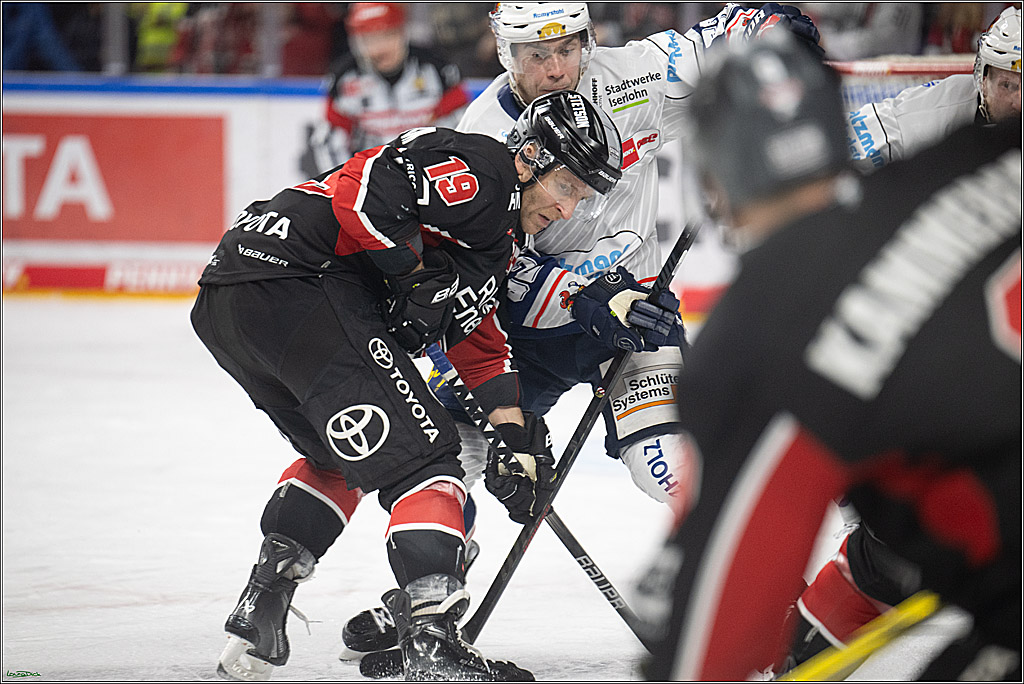 PENNY DEL; Koelner Haie- Iserlohn Roosters; Koeln, 19.01.2025