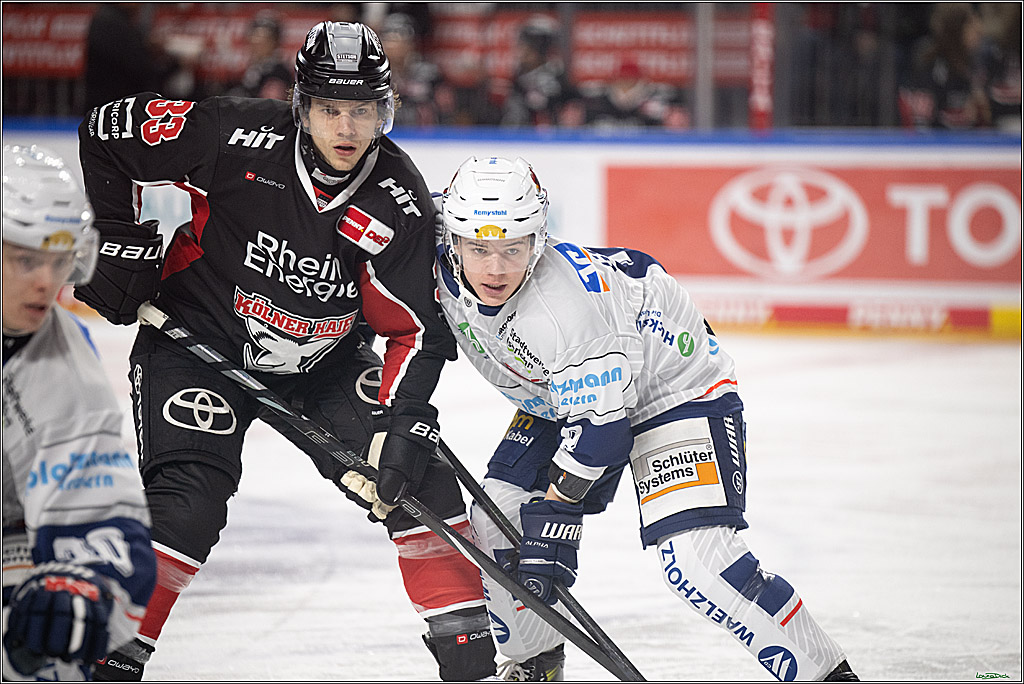 PENNY DEL; Koelner Haie- Iserlohn Roosters; Koeln, 19.01.2025