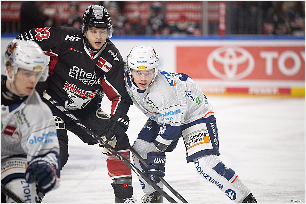 PENNY DEL; Koelner Haie- Iserlohn Roosters; Koeln, 19.01.2025