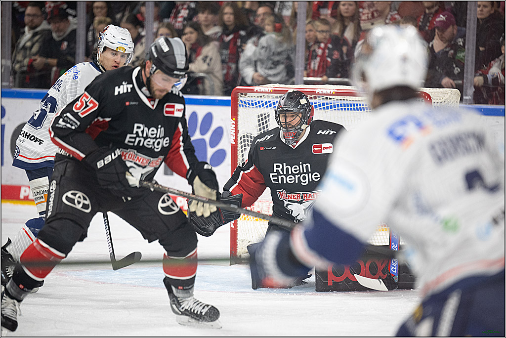 PENNY DEL; Koelner Haie- Iserlohn Roosters; Koeln, 19.01.2025