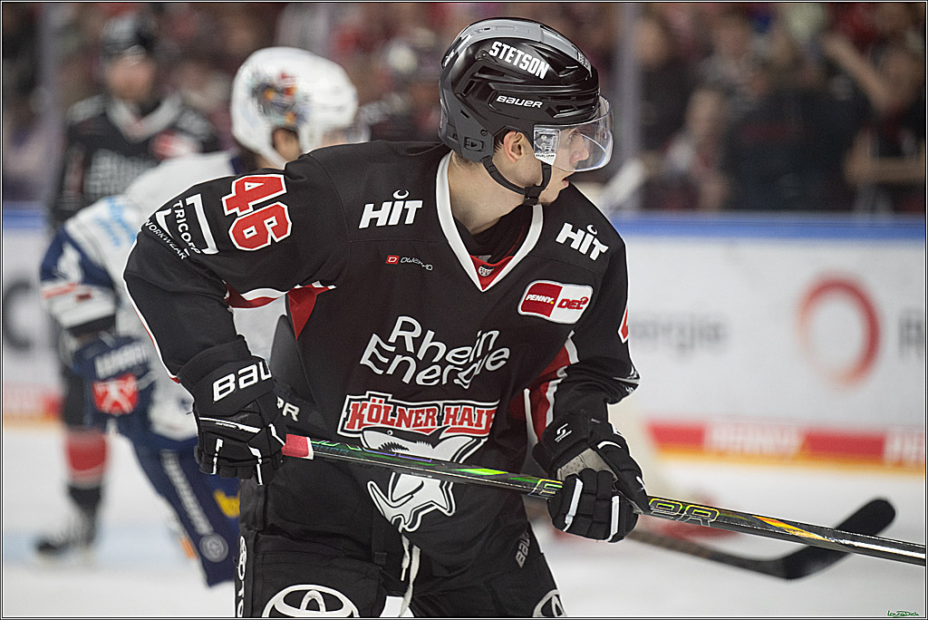 PENNY DEL; Koelner Haie- Iserlohn Roosters; Koeln, 19.01.2025