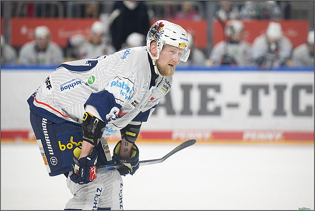PENNY DEL; Koelner Haie- Iserlohn Roosters; Koeln, 19.01.2025